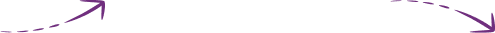 Navicosoft logo